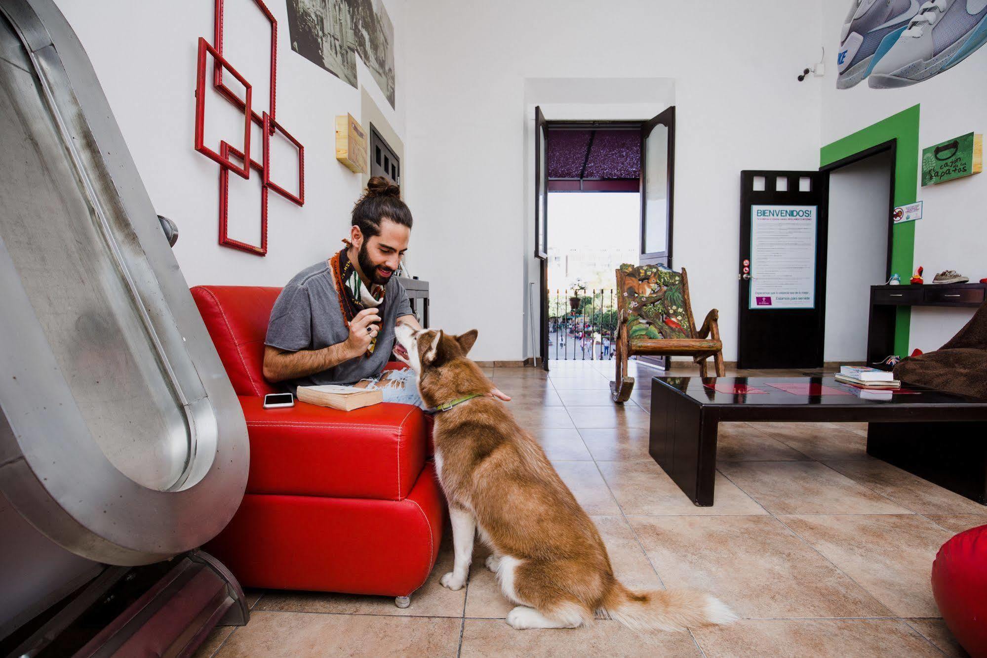 Hostal El Armario Leon Ngoại thất bức ảnh